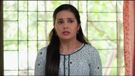 Main Teri Parchayi - 11th August 2025